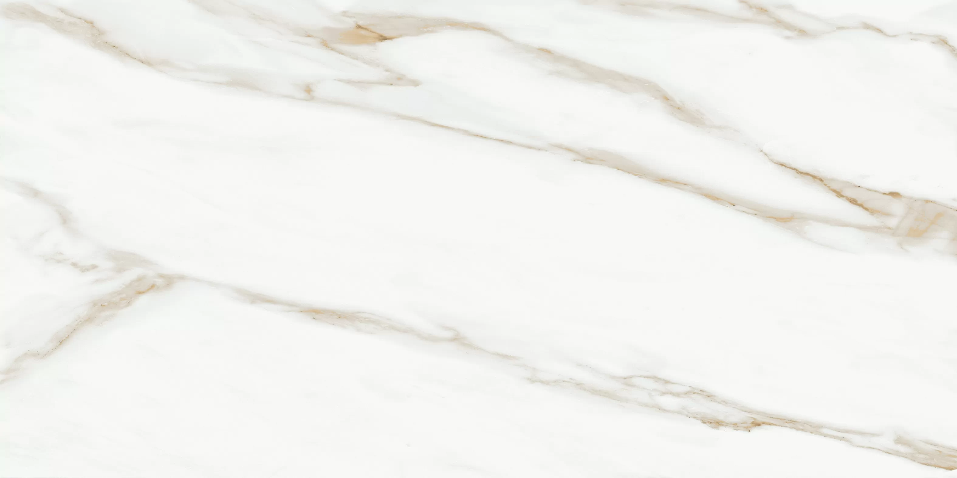 RP-144408 На пол Oriental White 60x120