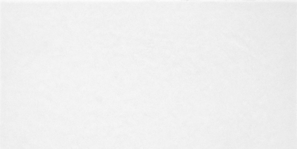 TWU09MNR020 На стену Salvia Monocolor