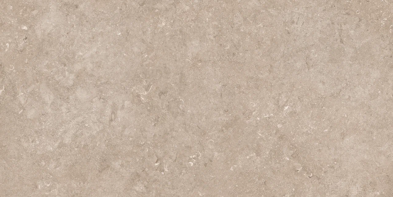 N12050 На пол Stone Pariso Tobacco Matt 60x120 - фото 3