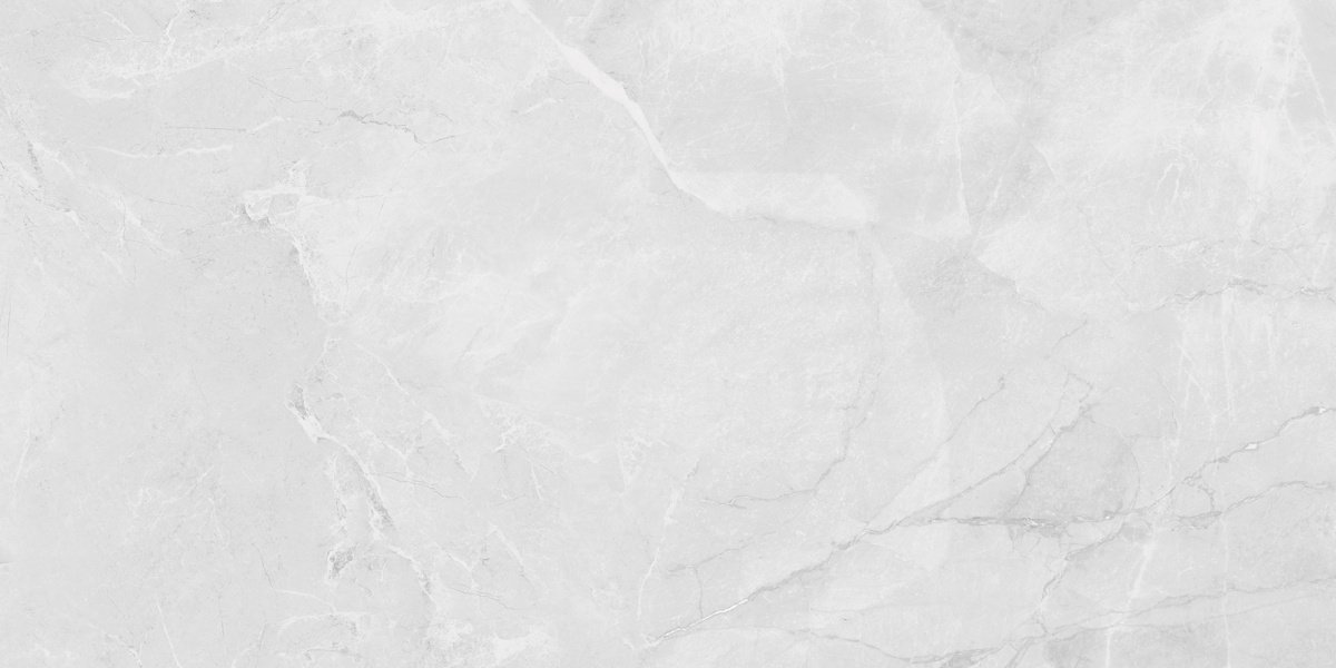 LP6012G0231R  На пол Berna Silver светло-серый матовый 59.5х119.1 - фото 2