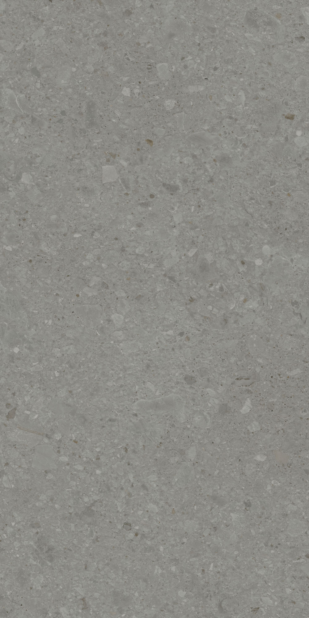 DD507920R На пол Чеппо ди Гре Серый тёмный матовый обрезной 60x119.5x0.9 - фото 2