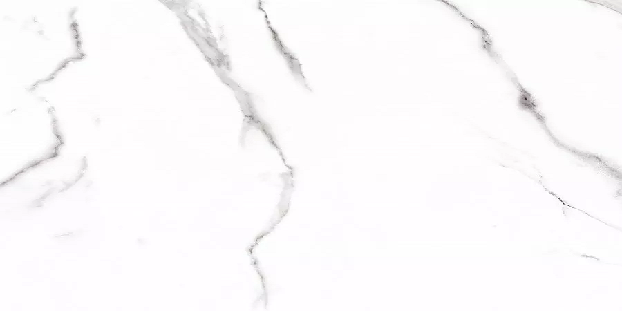 Напольный Carrara Carrara 120x60 Матовый - фото 9