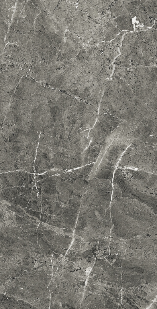 FP1028-A На пол Florencia Grey Full Polished 60x120 - фото 2