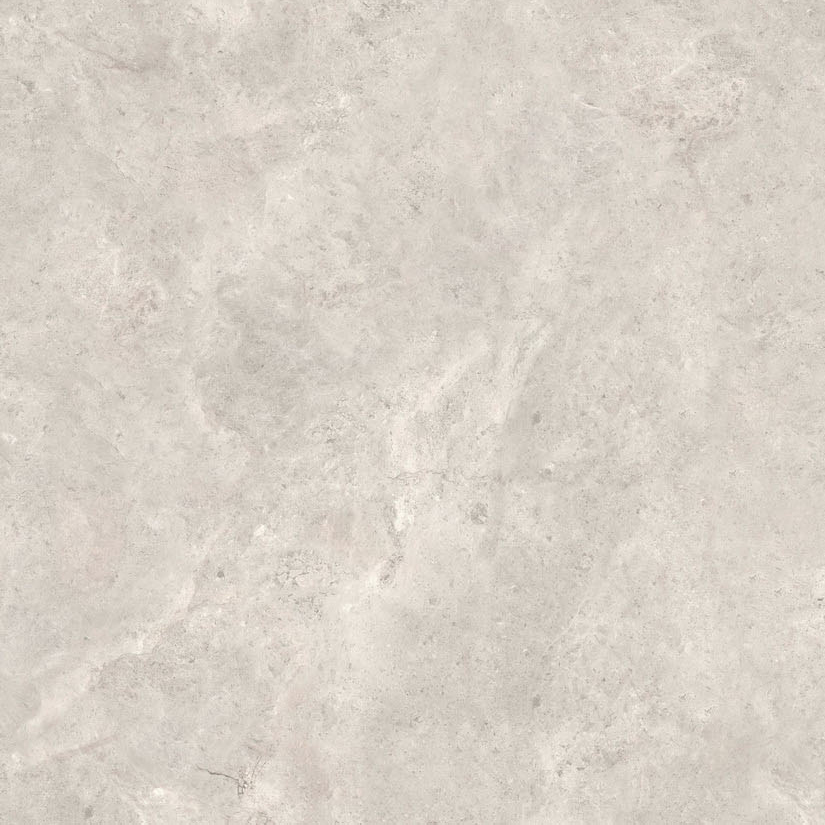 MN226AYL121209 На пол Platinum Leica Matt 9mm 120x120