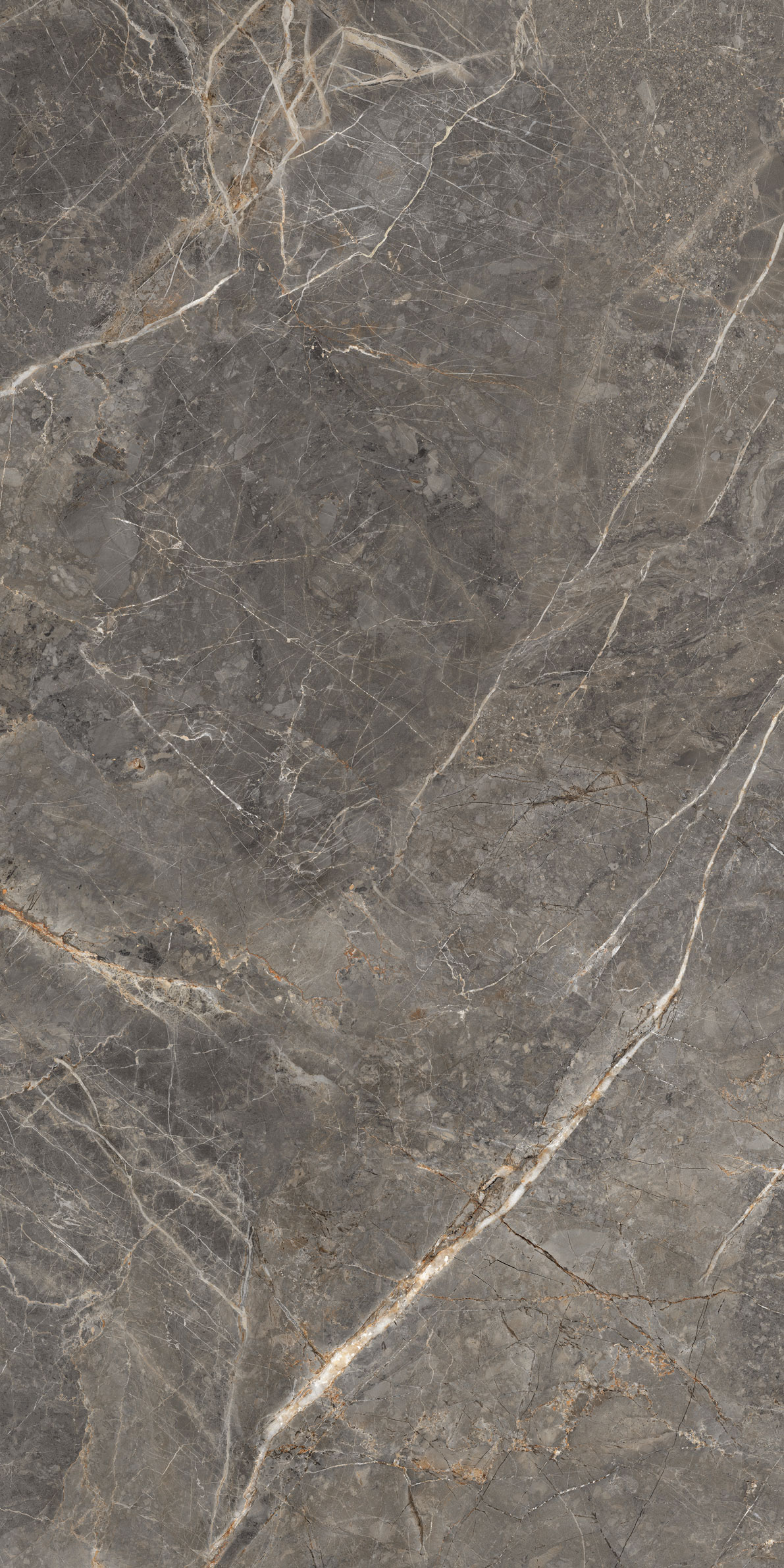 GT1206023109MGR На пол Salsa Темно-серый 60x120 - фото 2