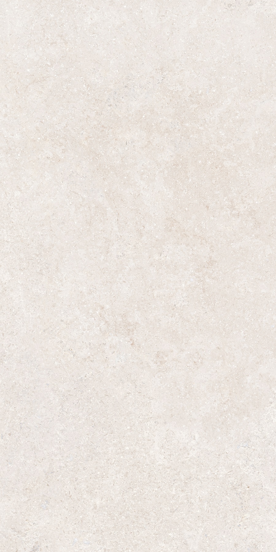 K948597R0001VTER На пол SandStone Белый Матовый R10A Ректификат 60х120 - фото 2