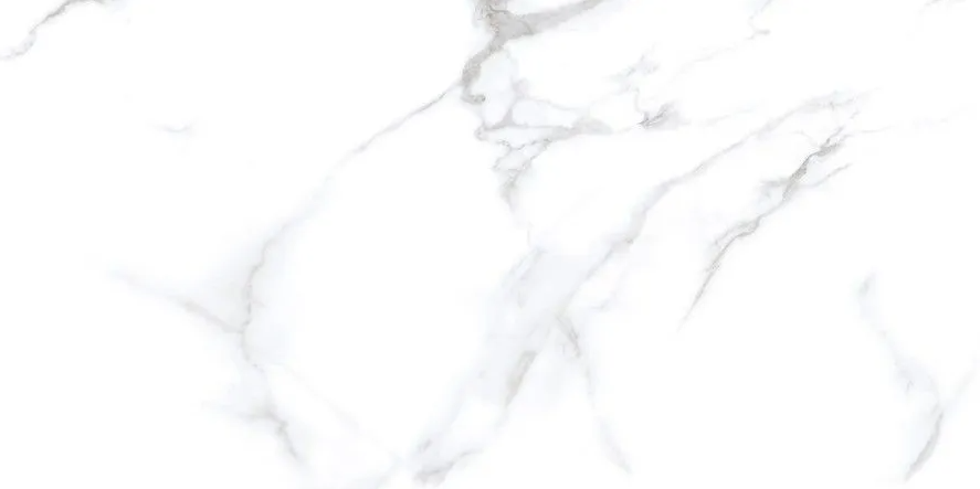 N20532 На пол Classic Marble Statuario Chic Matt 60x120