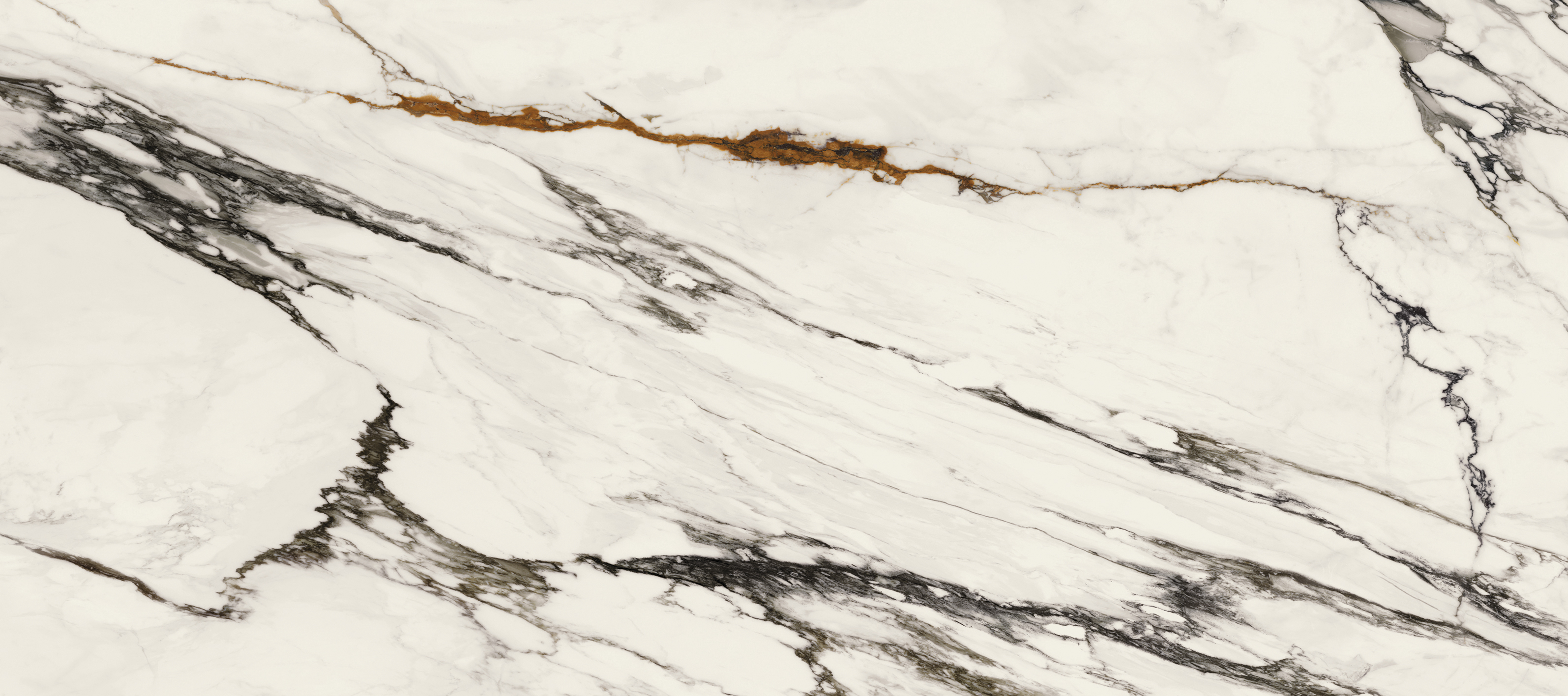 100332665 На стену Xlight Paonazzo Biondo Polished 120х270