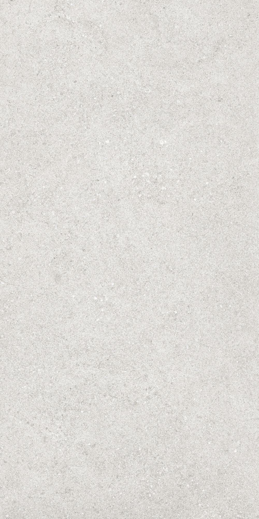 36904 На пол Cluny Silver 4D/50X100X2/A/R 50x100 - фото 11