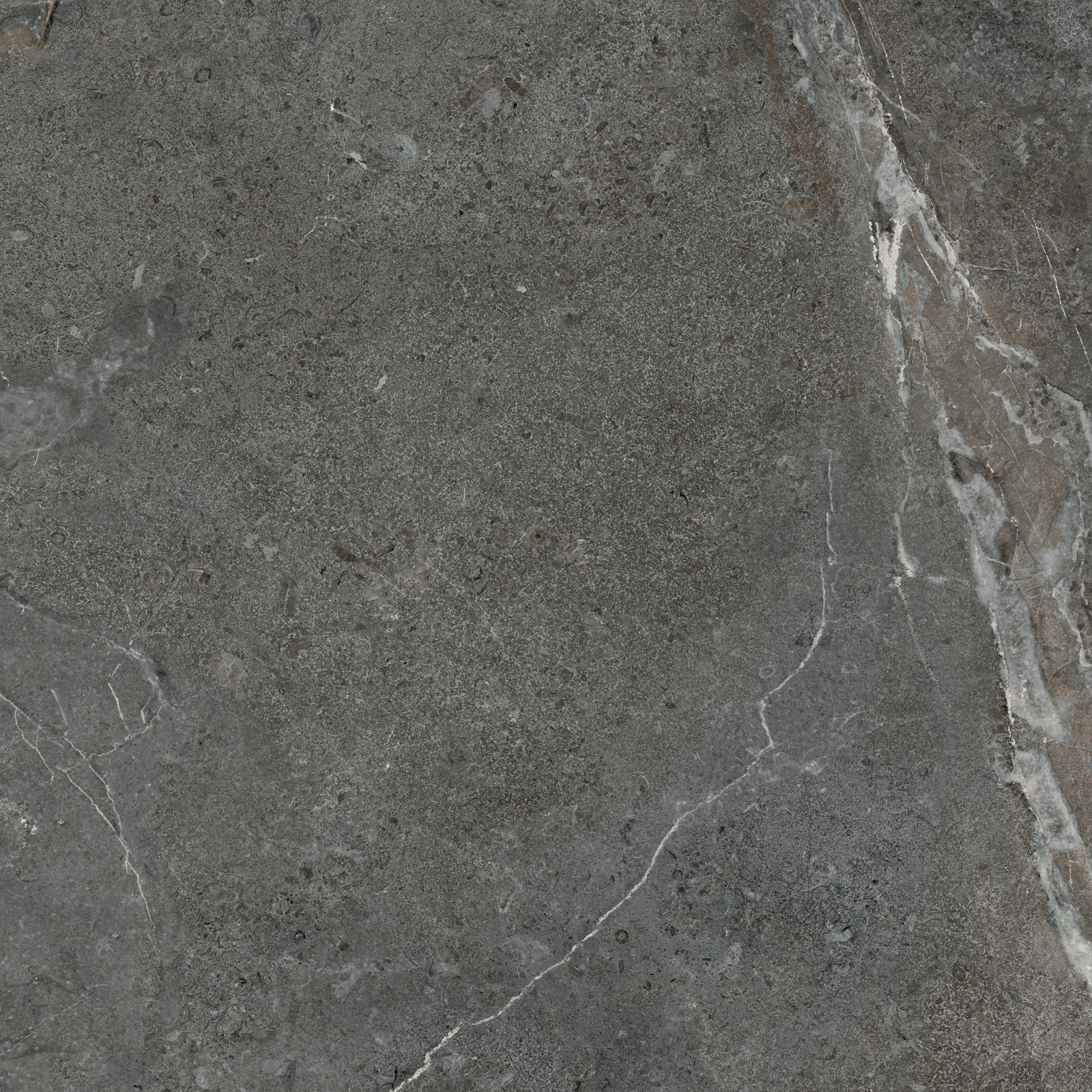 GP6060TIA25M На пол Titanium Graphite матовый 600x600x9.5 - фото 3