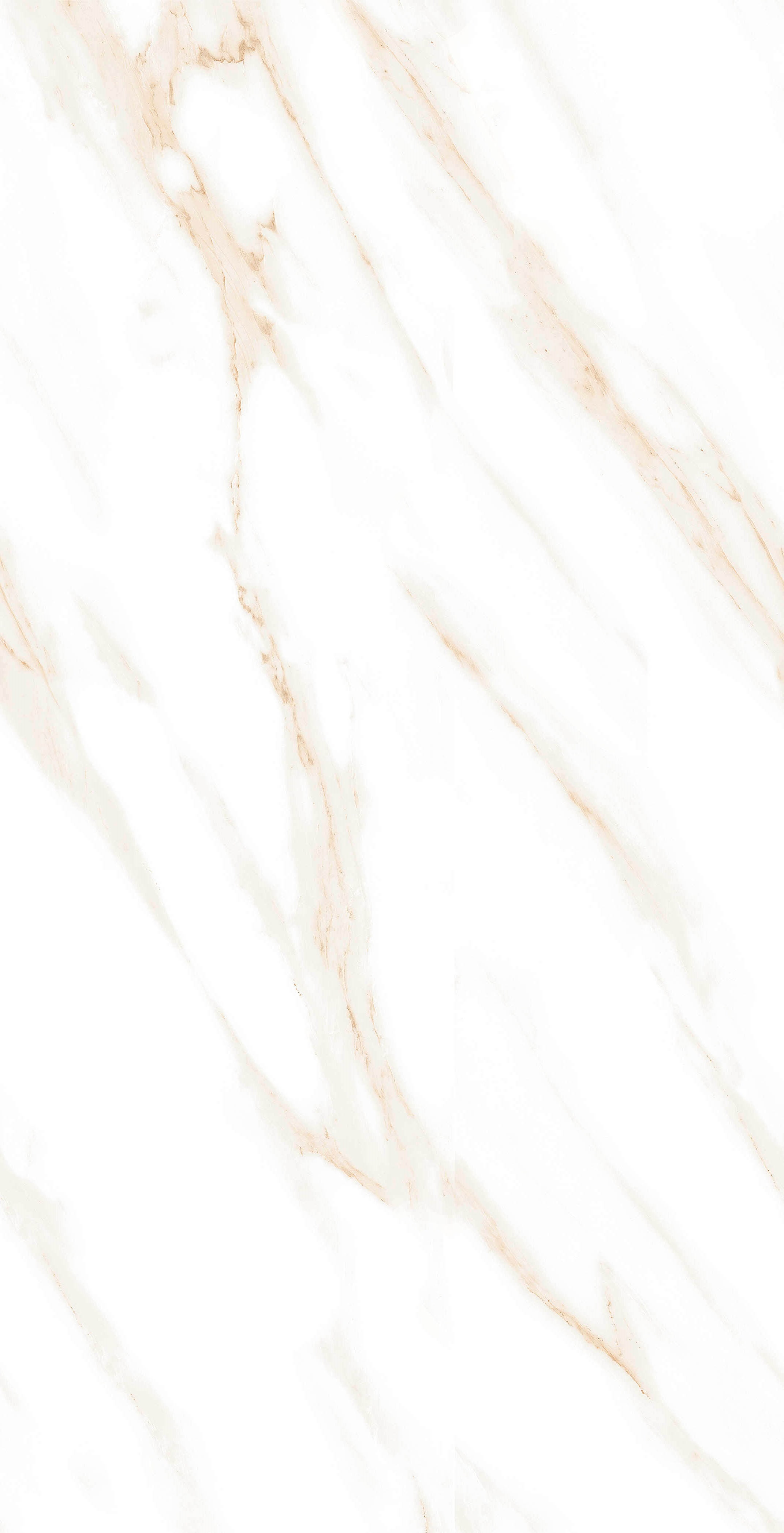 MOG102/PS_NC/60x120x9R/GW На пол Marble MOG102 White 120x60 Полированный Рект. - фото 7