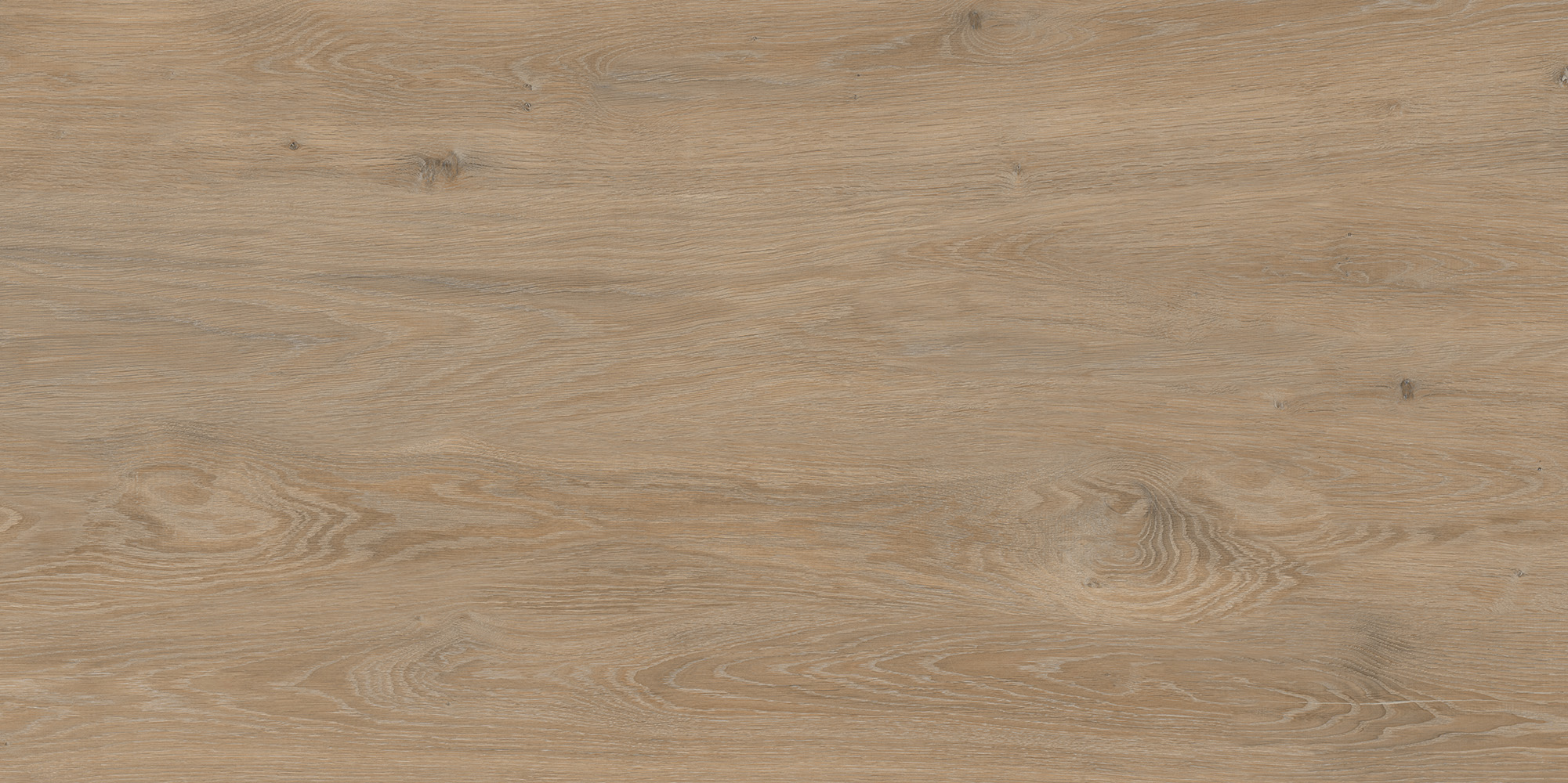 FO0L69M01  Forest Oak 60x120 - фото 3