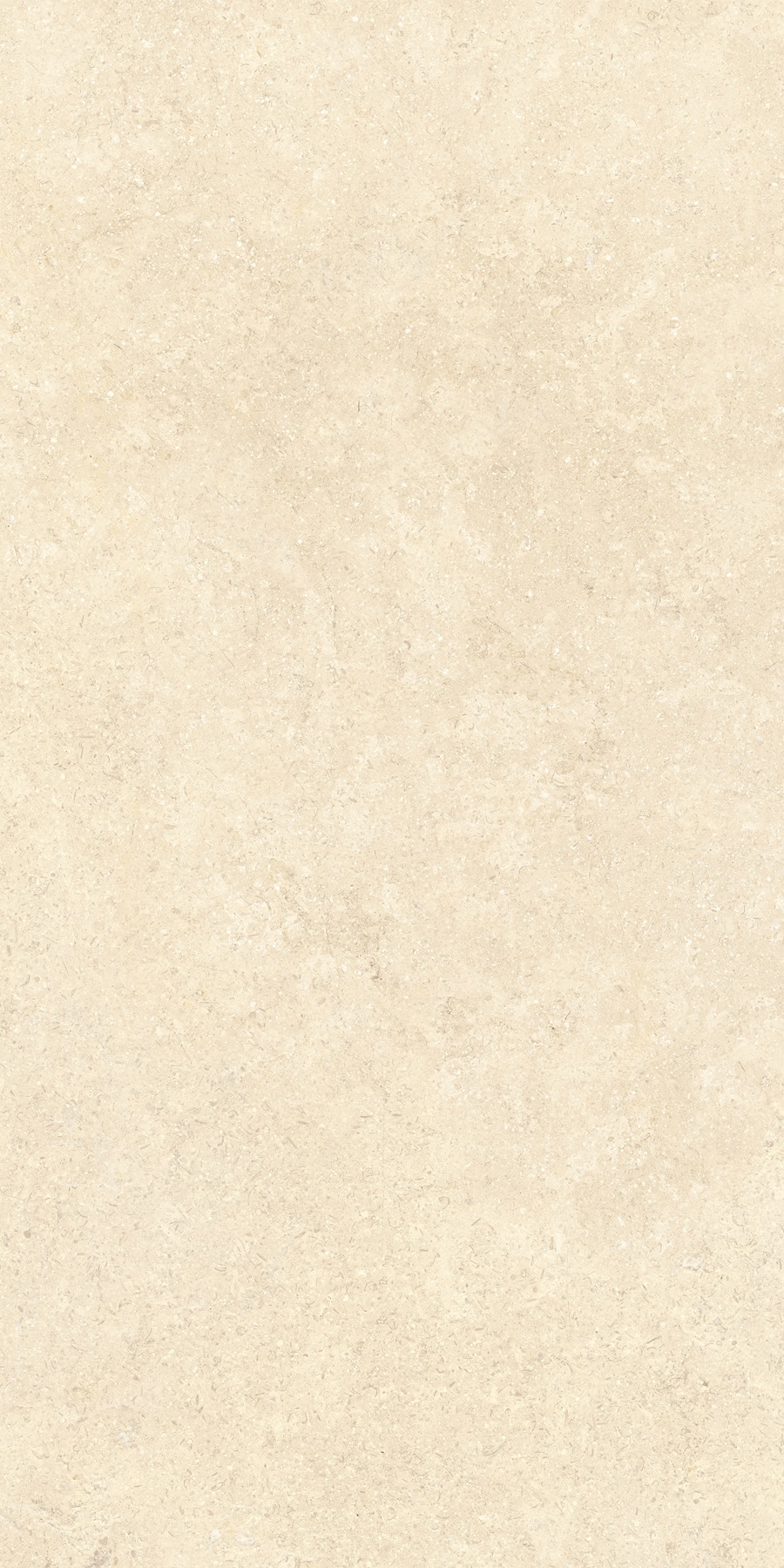 K948598R0001VTER На пол SandStone Песочный Матовый R10A Ректификат 60х120 - фото 2