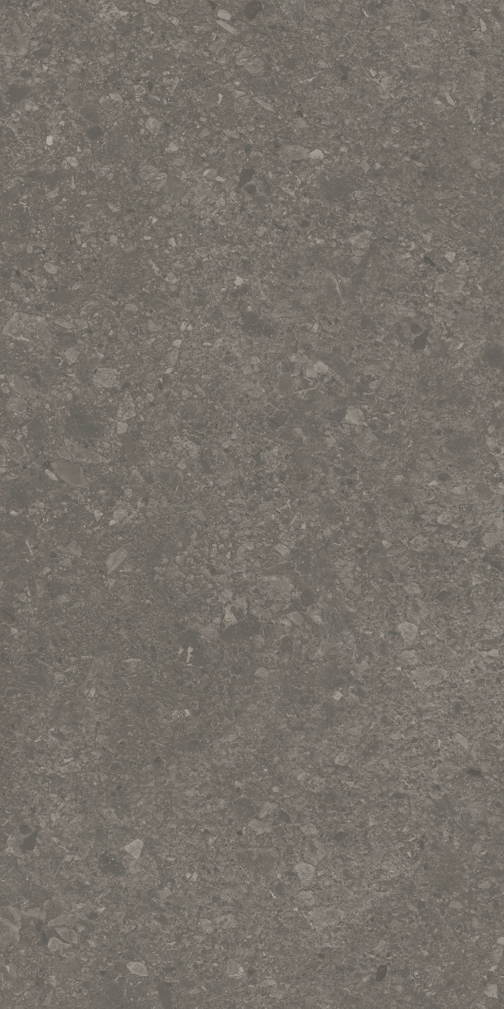 DD508120R На пол Чеппо ди Гре Коричневый матовый обрезной 60x119.5x0.9 - фото 7