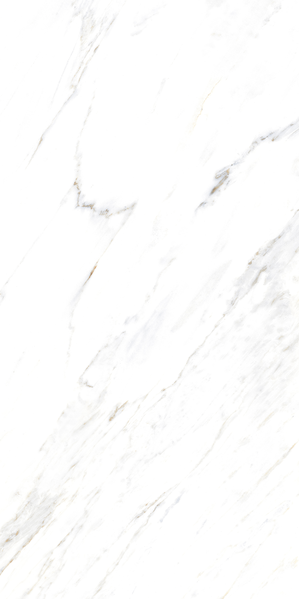 885  Напольный Marble 5.5mm Calacatta Caldia 120x60 - фото 7
