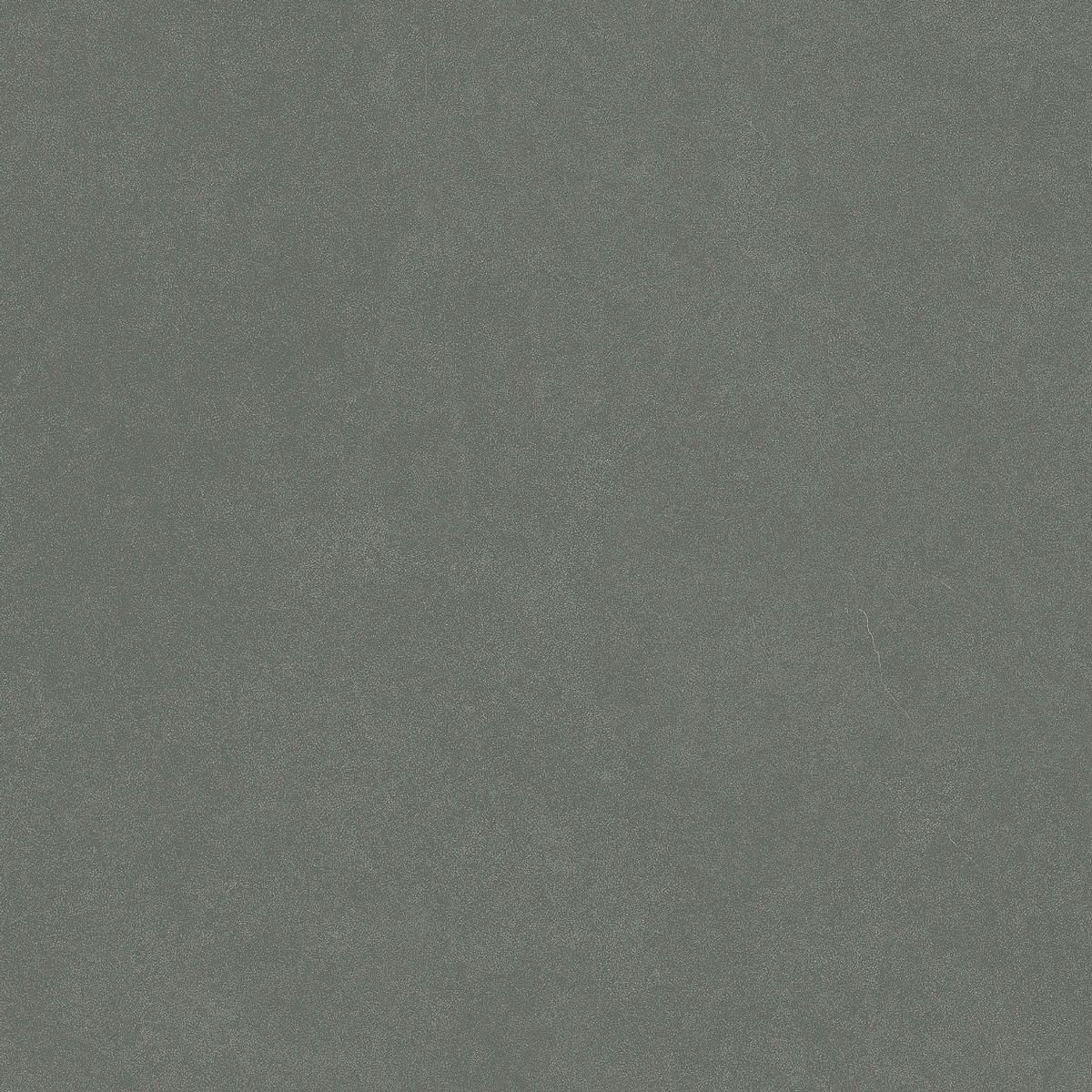 На пол Monotone Juniper Matt 20x20 - фото 3