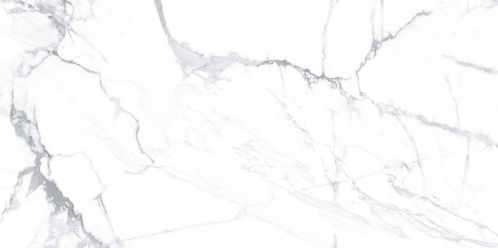 WT9LIM00 На стену Albion Calacatta Глянцевая - фото 3