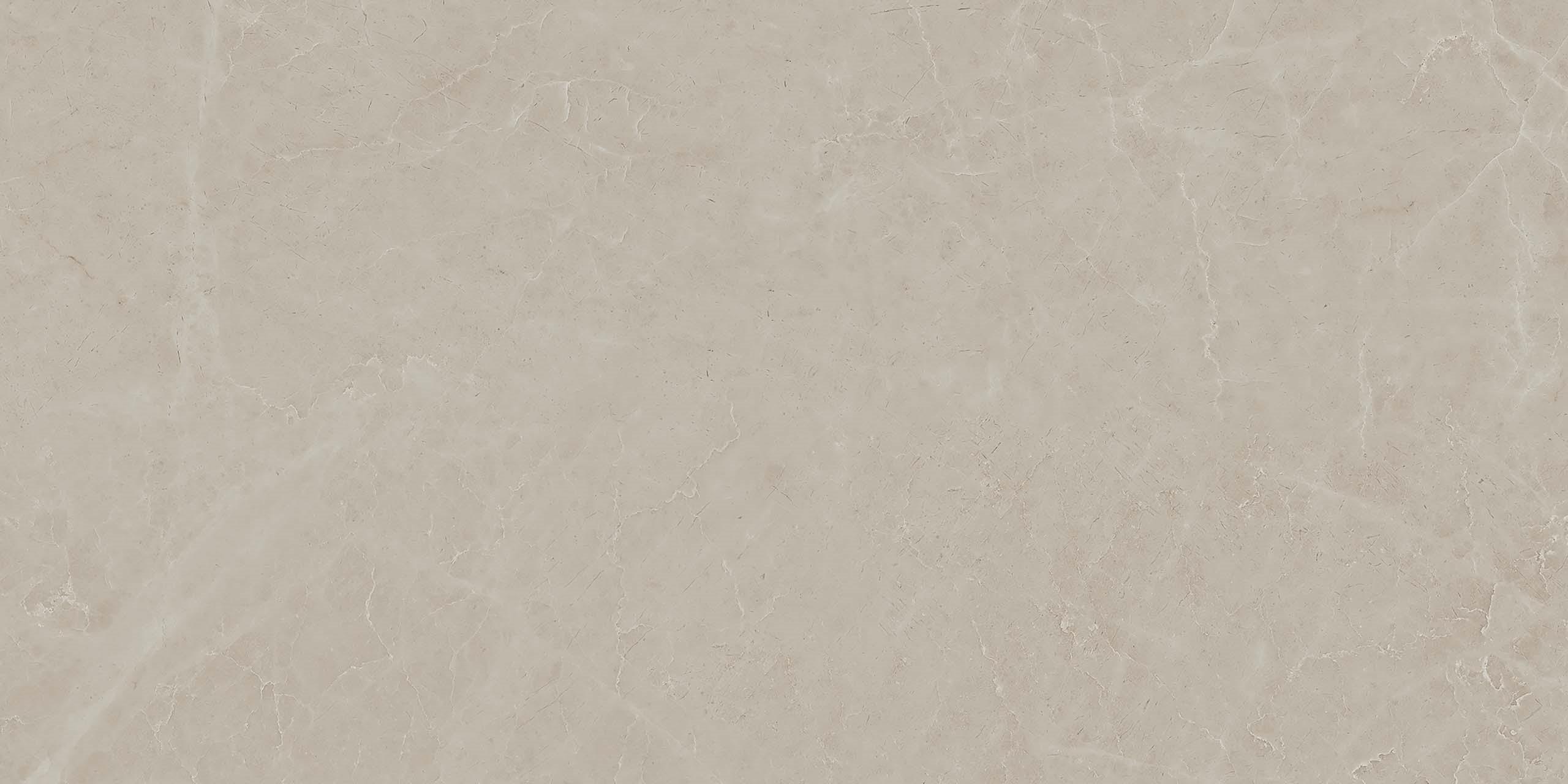 MOG202/PS_NC/60x120x9R/GW На пол Marble MOG202 Grey полированный 60x120x9