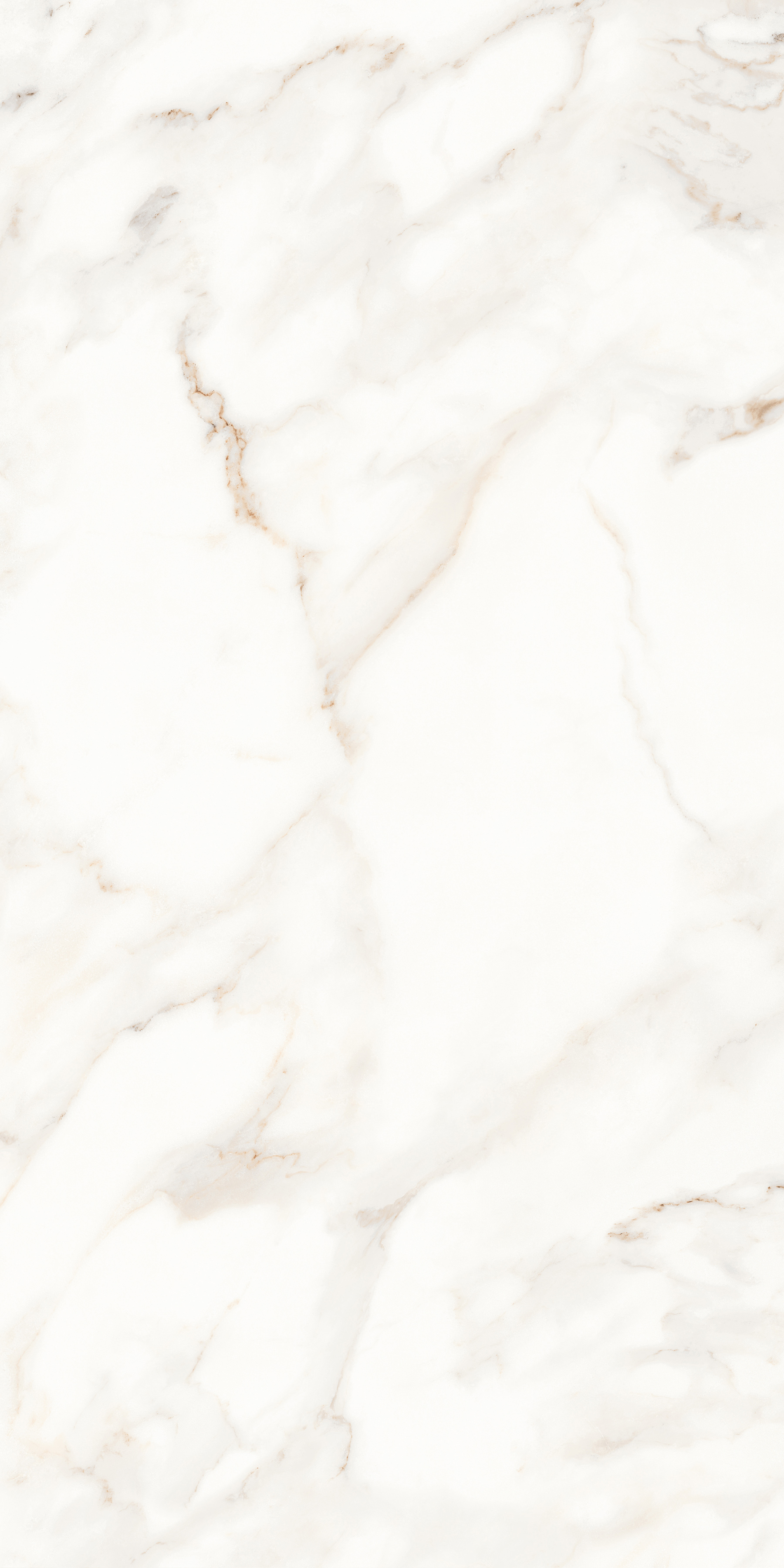 MPL-058622 На пол Calacatta Calacatta Satin 60x120 - фото 3