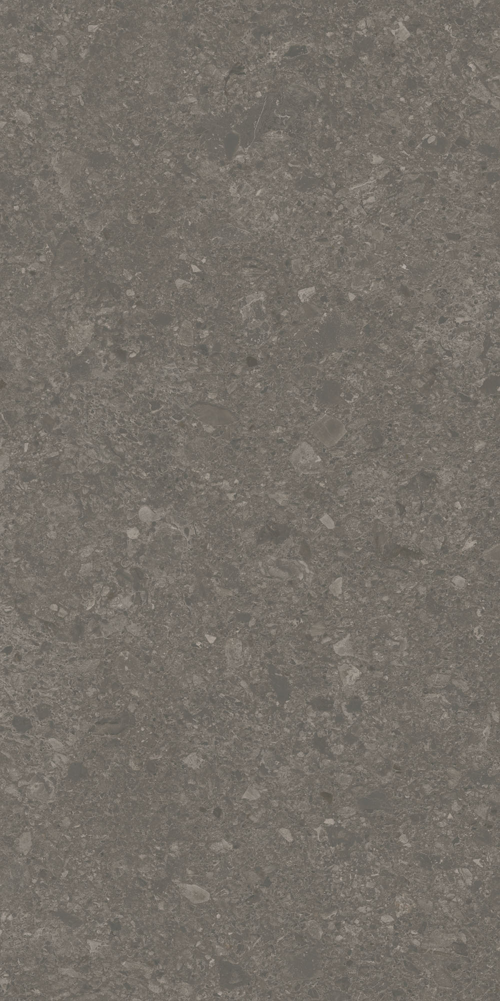 DD508120R На пол Чеппо ди Гре Коричневый матовый обрезной 60x119.5x0.9 - фото 8