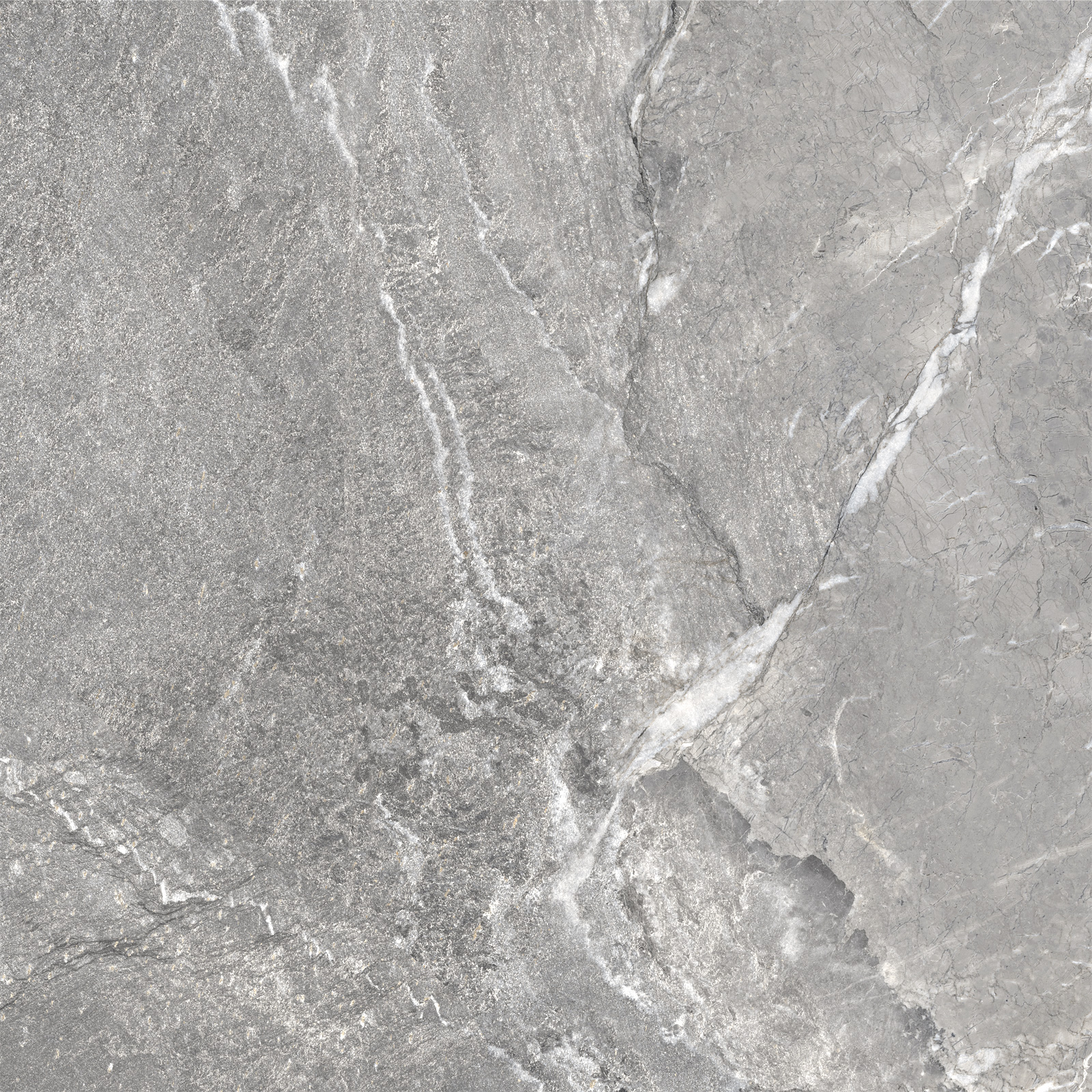 D60260M На пол Wild Dark матовый 600x600x9.5 - фото 14