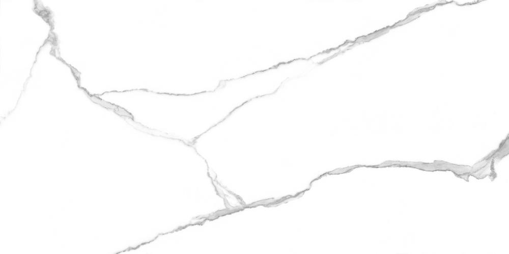GT120601503PR На пол Anima Белый полированный 60x120 - фото 3