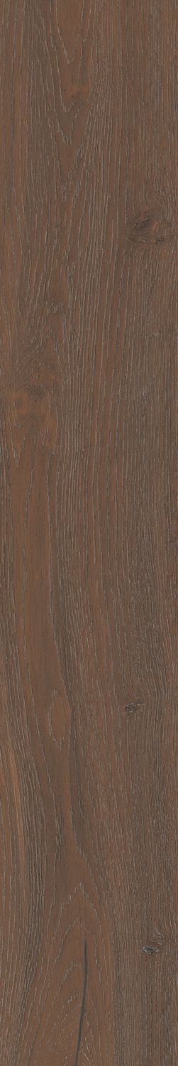 SG732990R На пол Тровазо Коричневый тёмный матовый обрезной 13x80x0.9 - фото 10