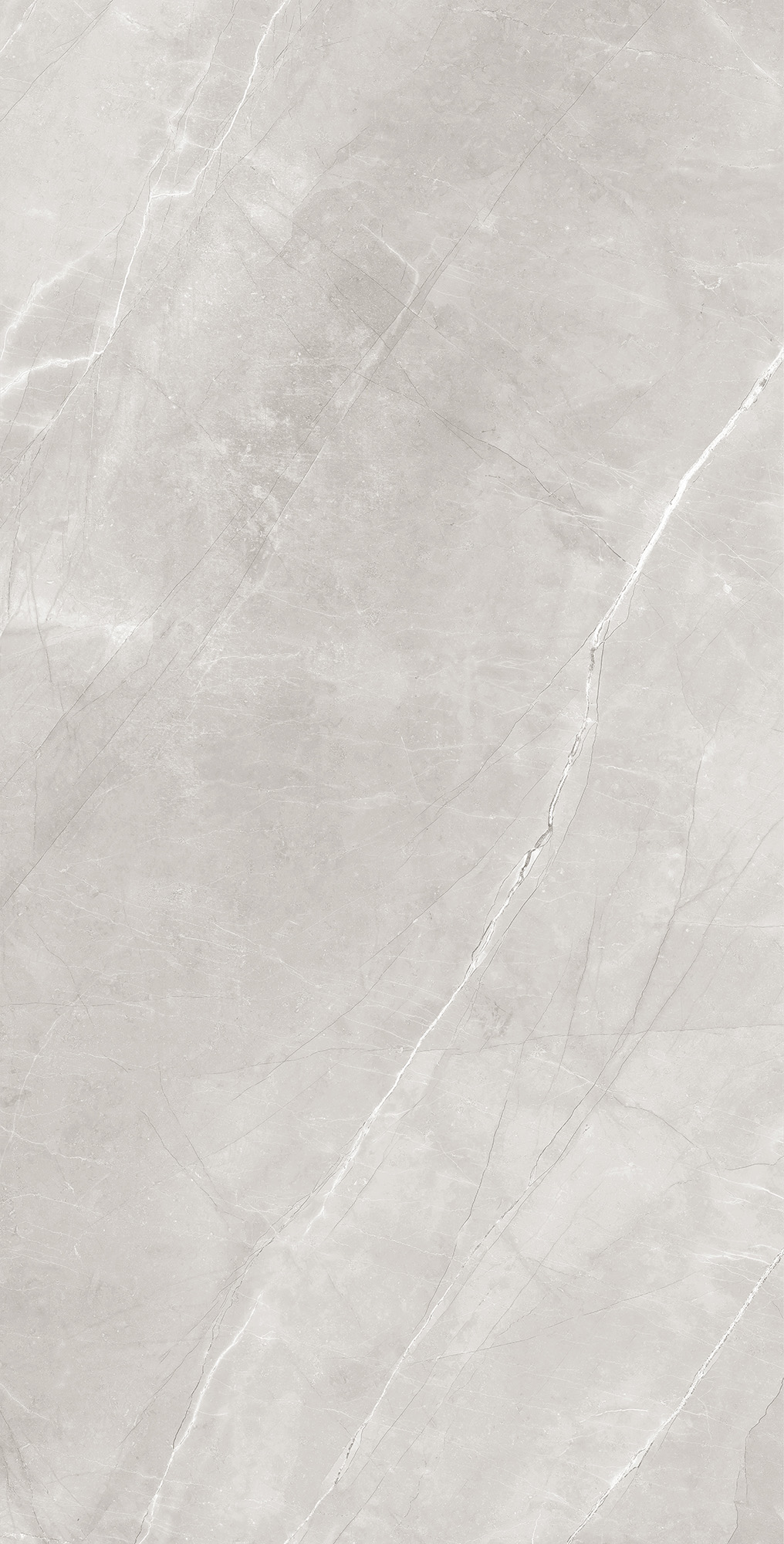 RT7013-A На пол Armani Silver Matt Rustic 60x120 - фото 4