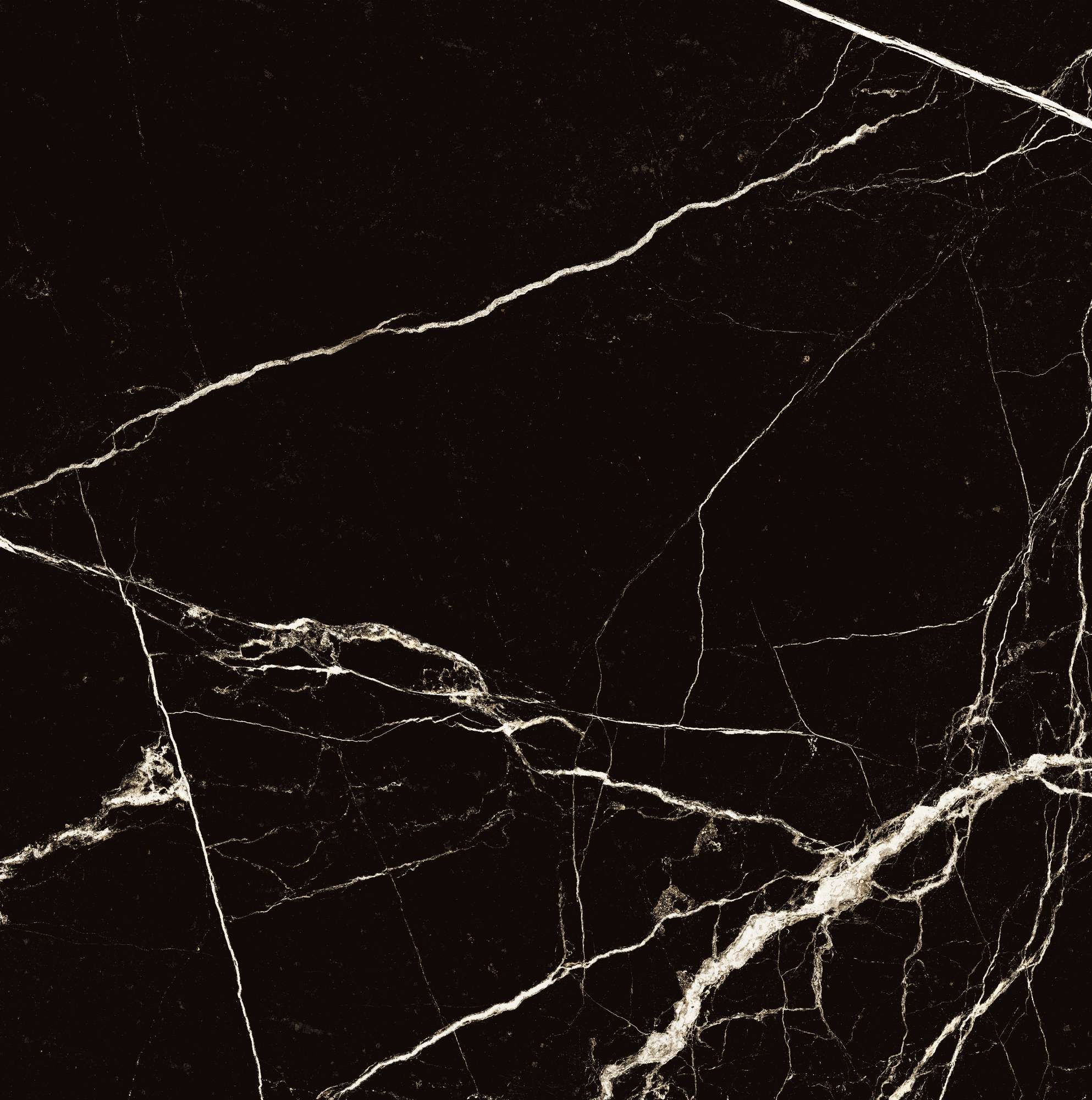 HG2008-A На пол Black Spinder High Gloss 60x60 - фото 5