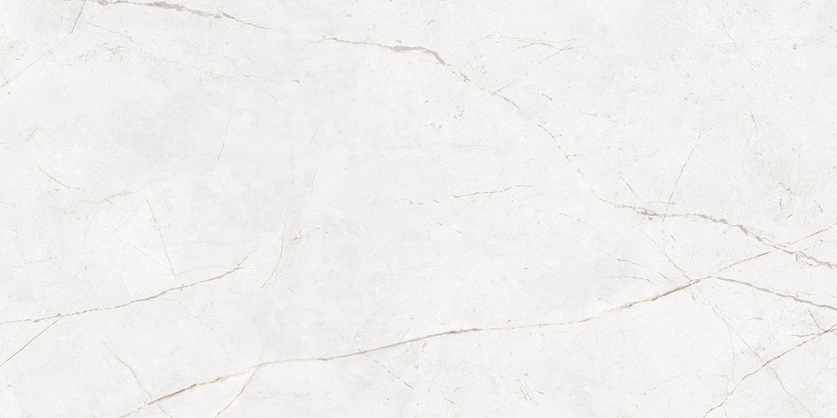 NL00/PS_NC/60x120x10R/GW На пол Nolana NL00 White Полированный Рект. 60x120x10 - фото 7