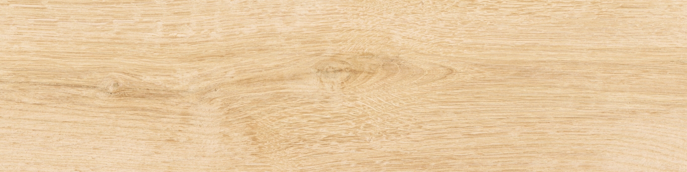 KM1040G0011N На пол Аргания Бежевый матовый 9.9x40.2x0.8 - фото 20