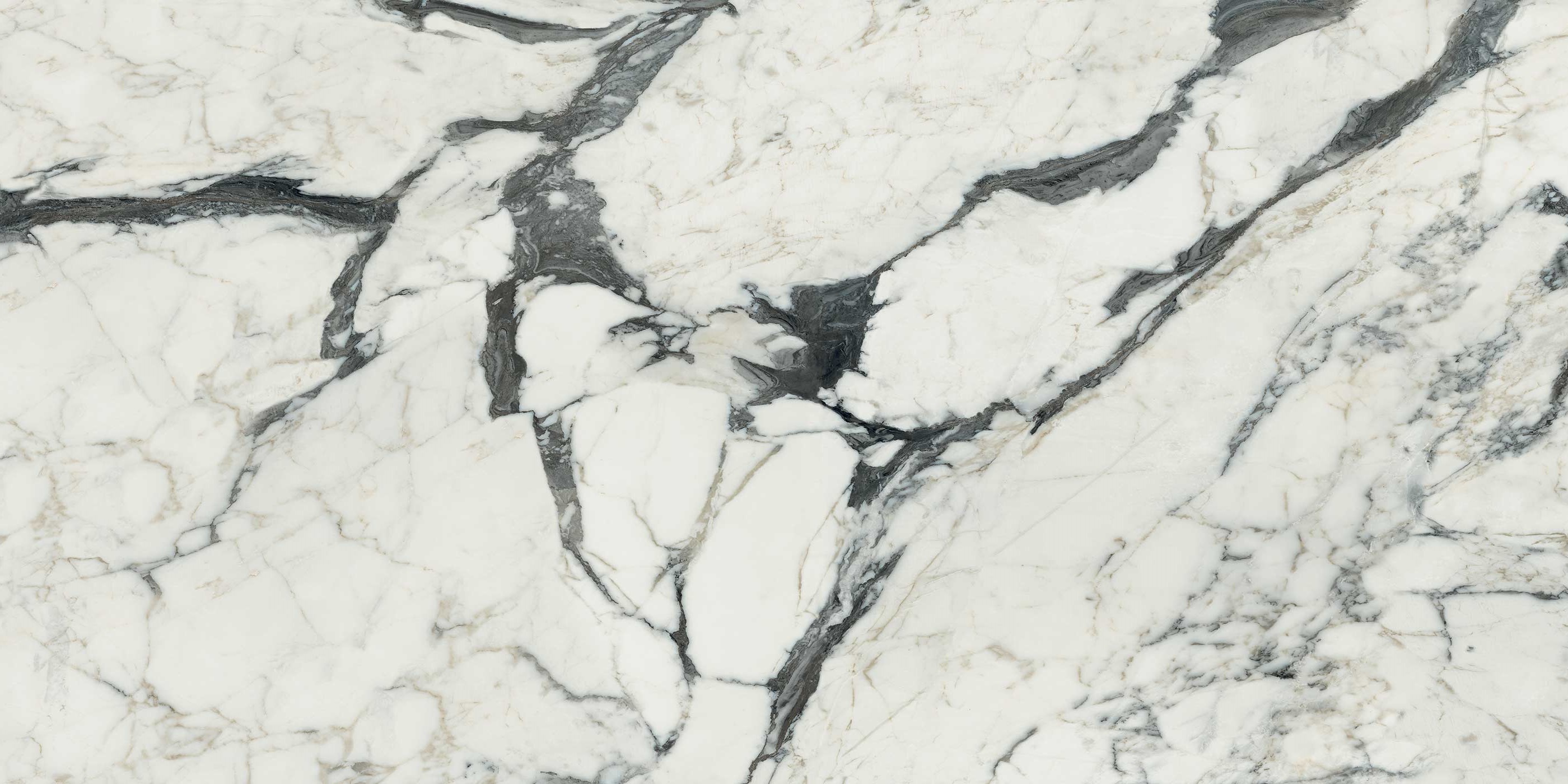 766330 На пол Les Bijoux Calac altissimo glossy 60x120 ret