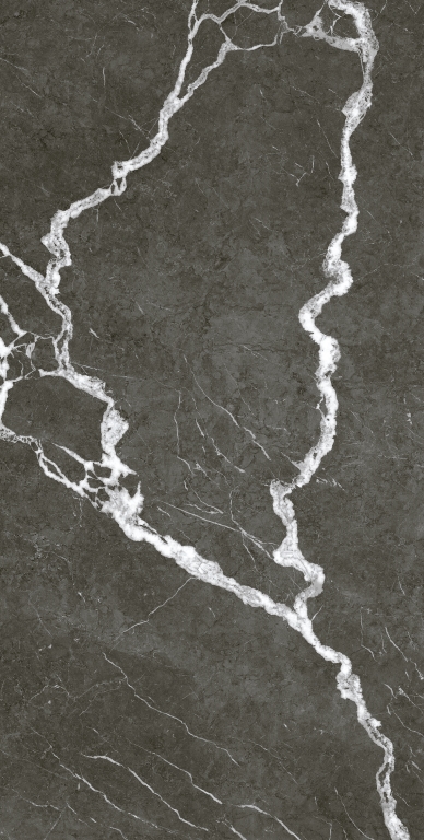 610010002747 На пол Michelangelo Дарк 60x120 - фото 2