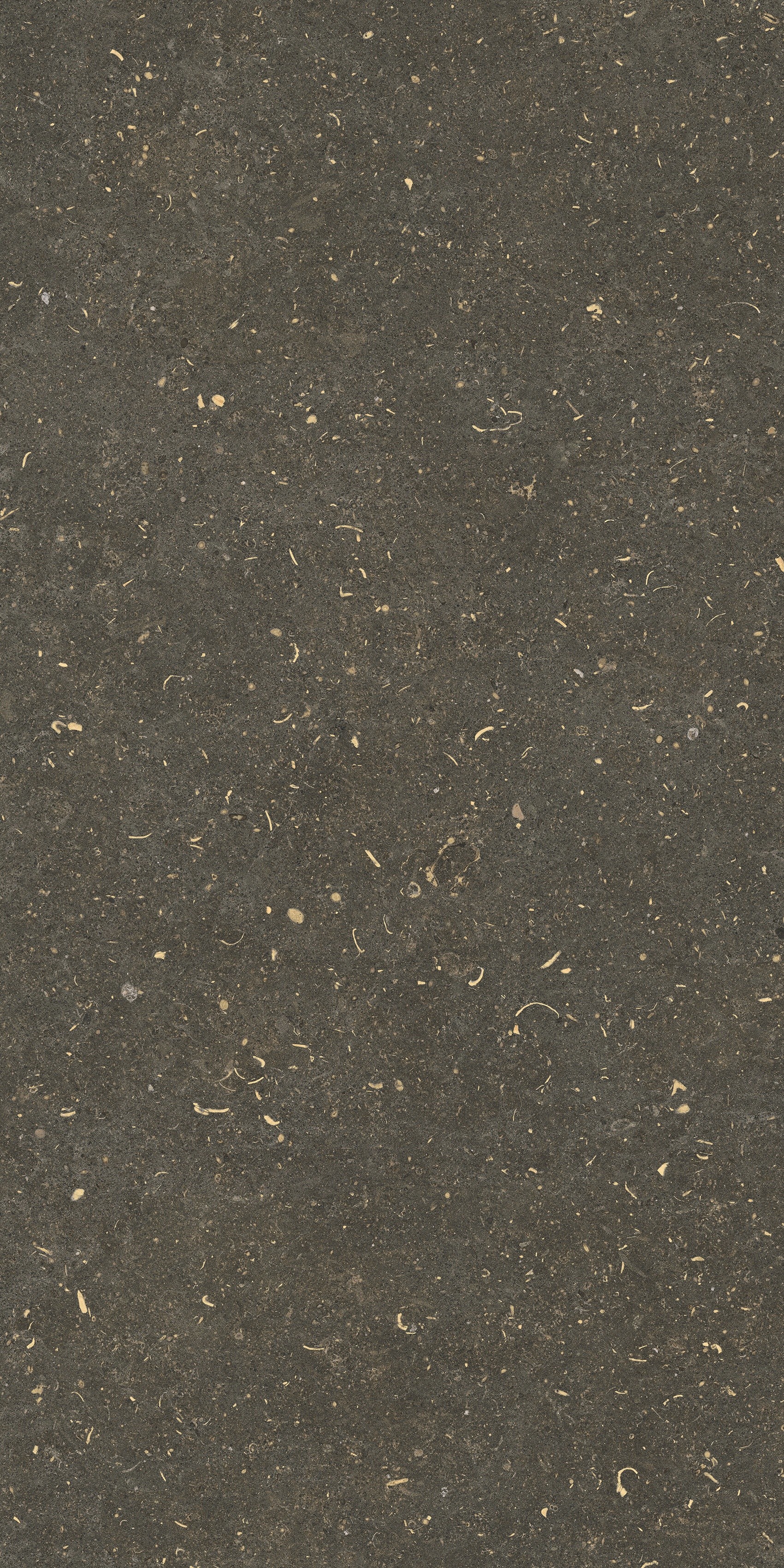 785495 На пол Rinascenza Arena Platino Grip 60x120 - фото 4