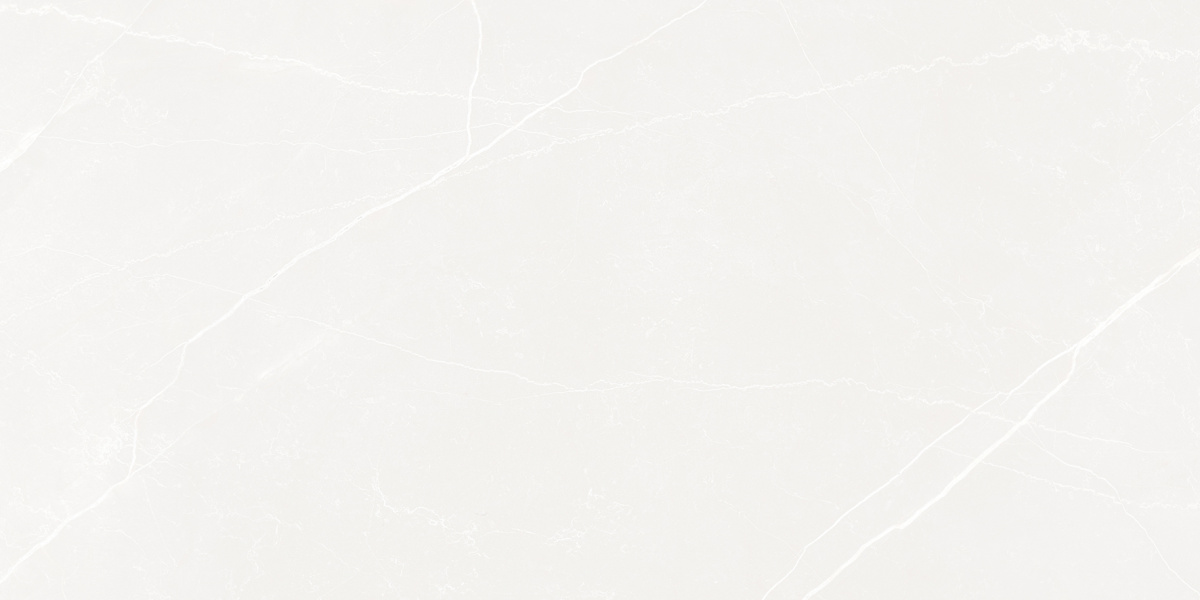 LP6012G0191R На пол Opera Bianco белый матовый 59.5х119.1