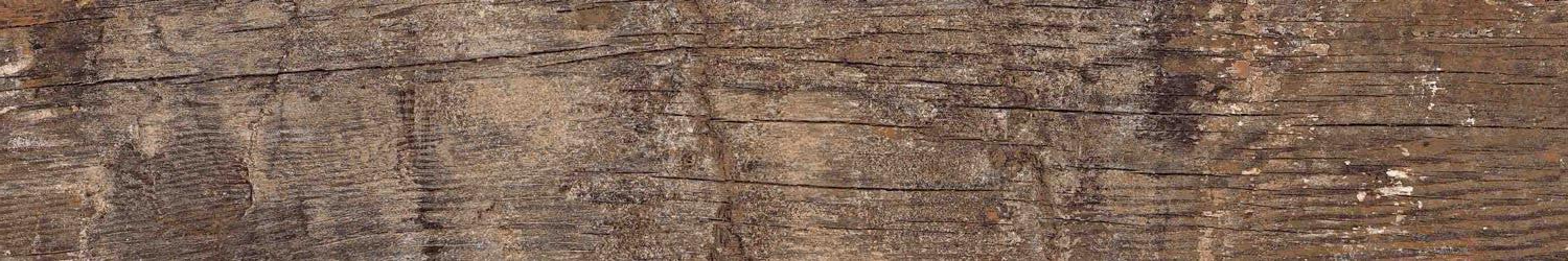На пол Wood Kiwi Redroot Mat 20x120 - фото 13