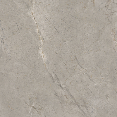 SKA2 На пол Elements Lux Silver Grey Silk RT 120x120 - фото 2