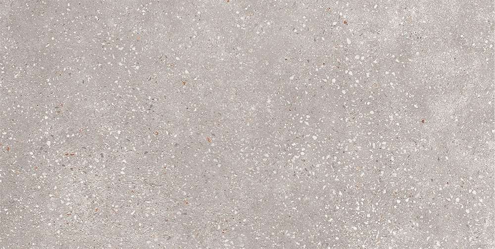 GT183VG На пол Coral Rock Cерый 30x60 - фото 2