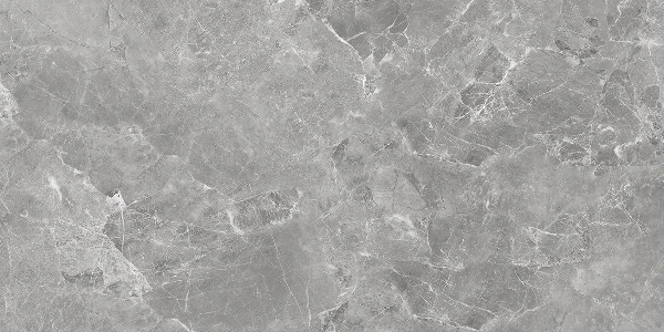 AB 3118G На пол Grigi Standart 120x60 Full Lappato Gloss - фото 4