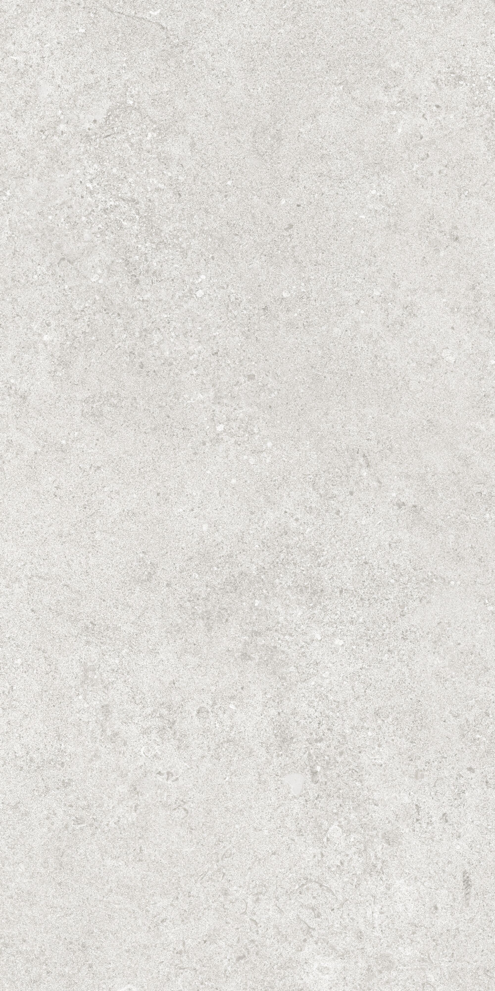 36904 На пол Cluny Silver 4D/50X100X2/A/R 50x100 - фото 19