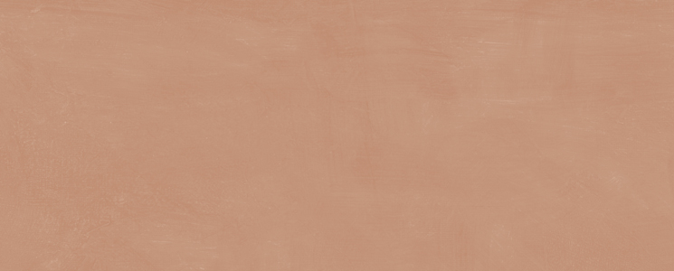 7254 На стену Каннареджо Оранжевый матовый 20x50x0.8 - фото 2