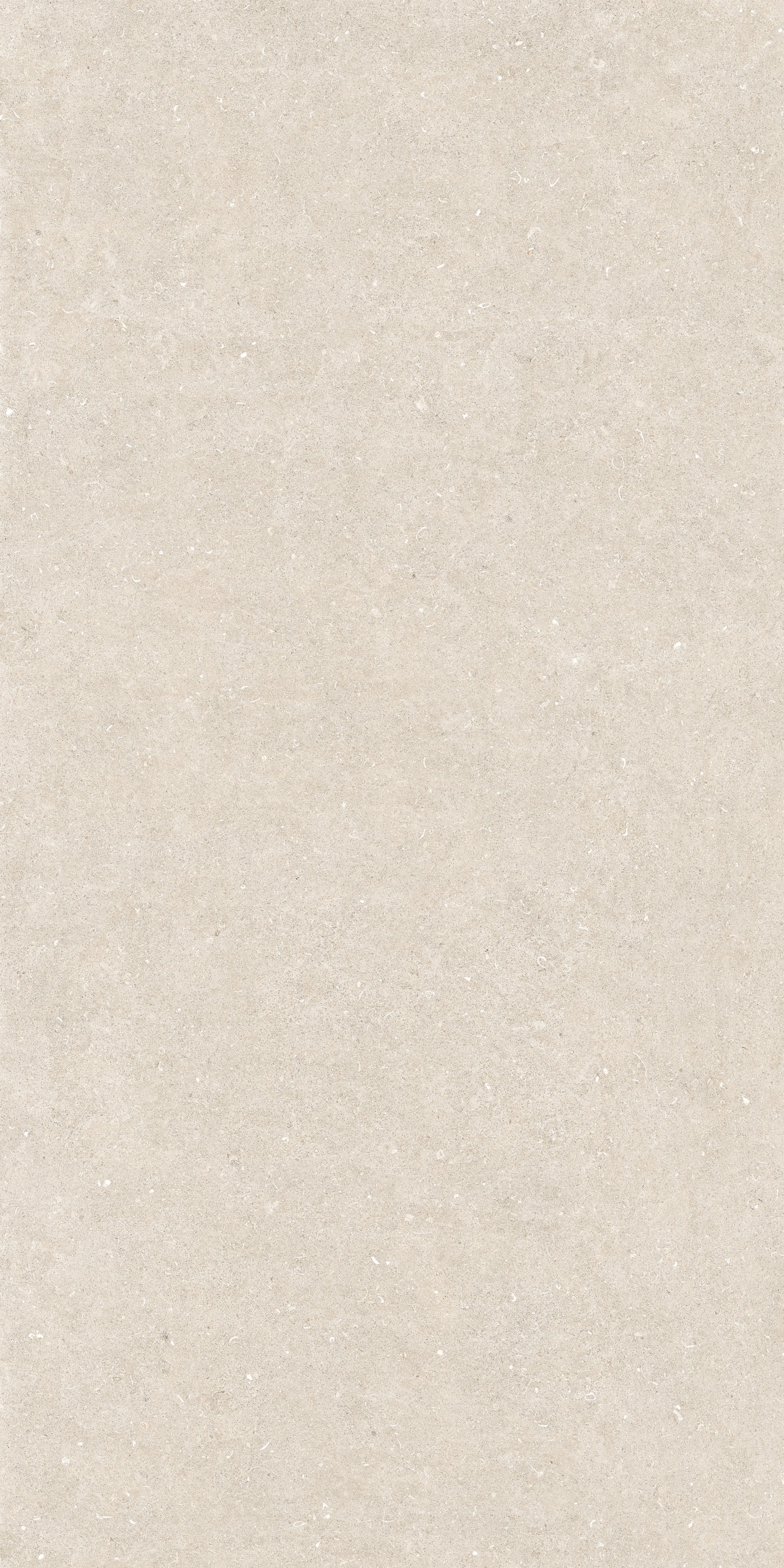 785582 На пол Rinascenza Arena Bianco Antico Matte 6mm 120x240 - фото 2