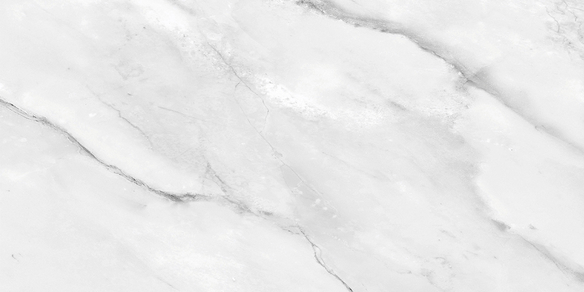 PRO 1187G На пол Aquarelle Grey Gloss 1200x600 - фото 5