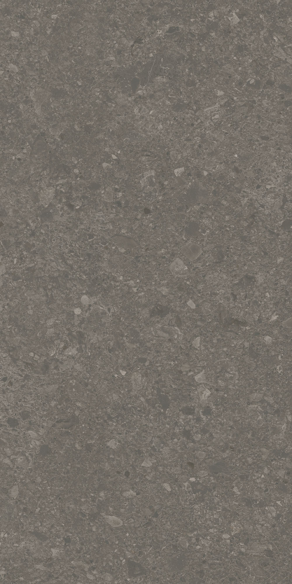 DD591700R На пол Чеппо ди Гре Коричневый матовый обрезной 119.5x238.5x1.1 - фото 8