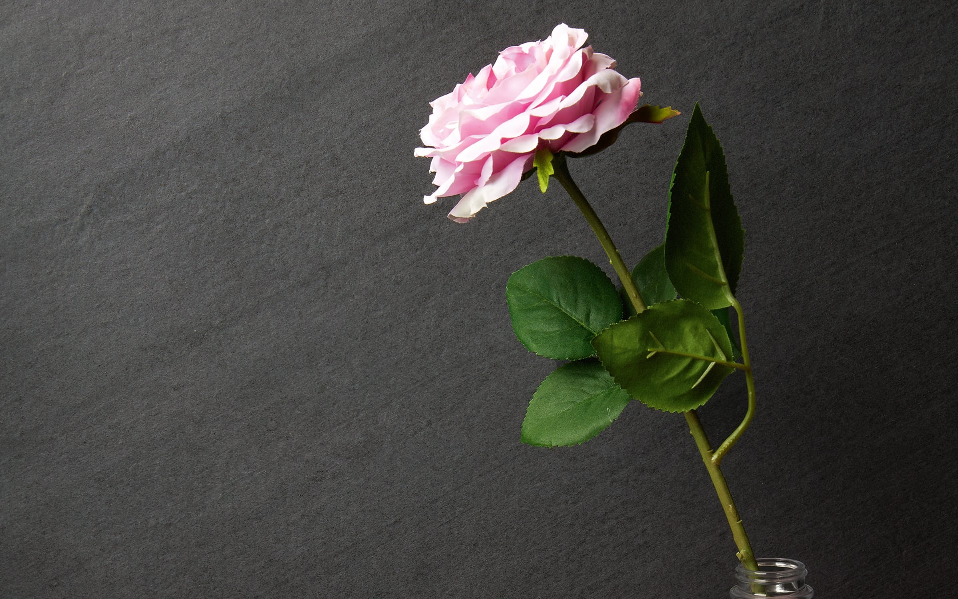 8929994 На пол Victorian Stone Moon Cream Natural Plus 120x60 - фото 32