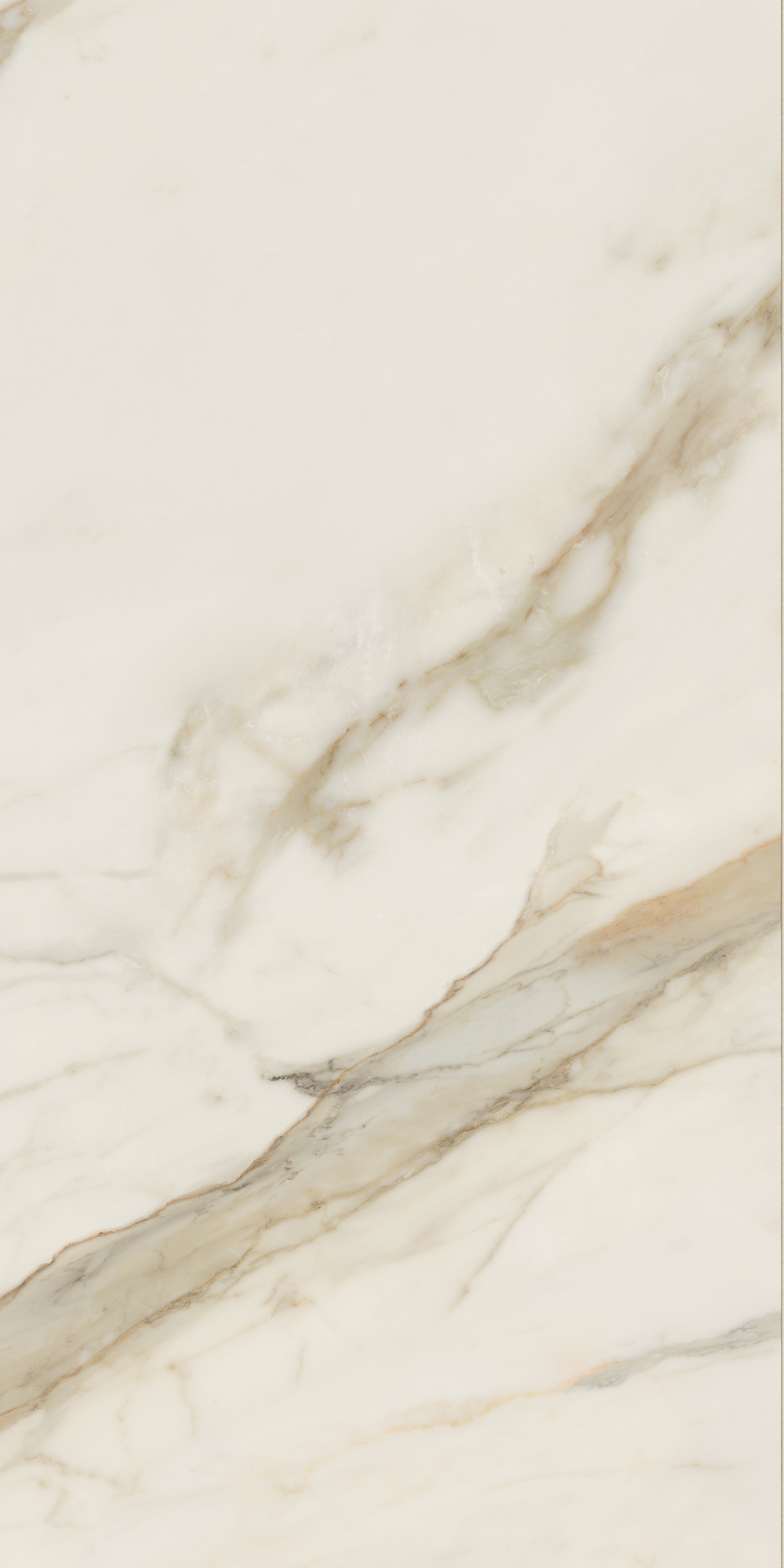 AIAT На пол Anima Futura Golden White Matt RT 60x120 - фото 3