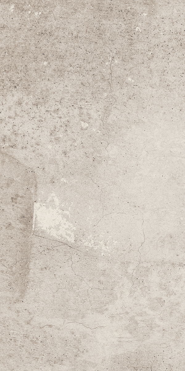 EE01/NS_R9/30,6x60,9x8N/GW На пол Seed EE01 Light Grey Неполированный 30.6x60.9x8