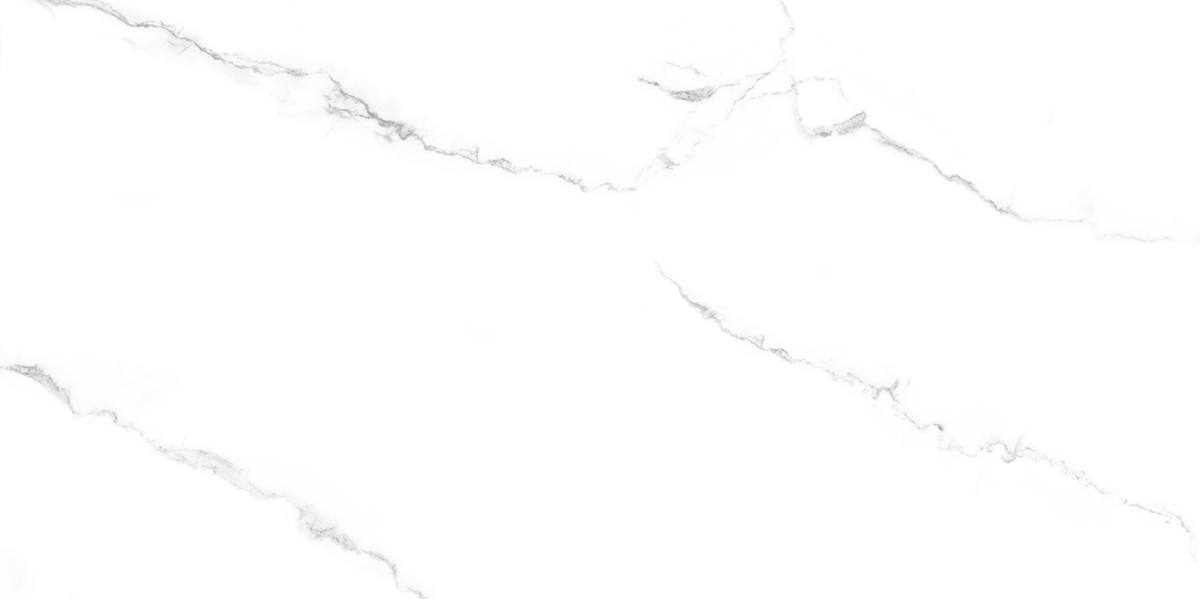 RP-238587  Calacatta Lite Satin 60x120 - фото 4