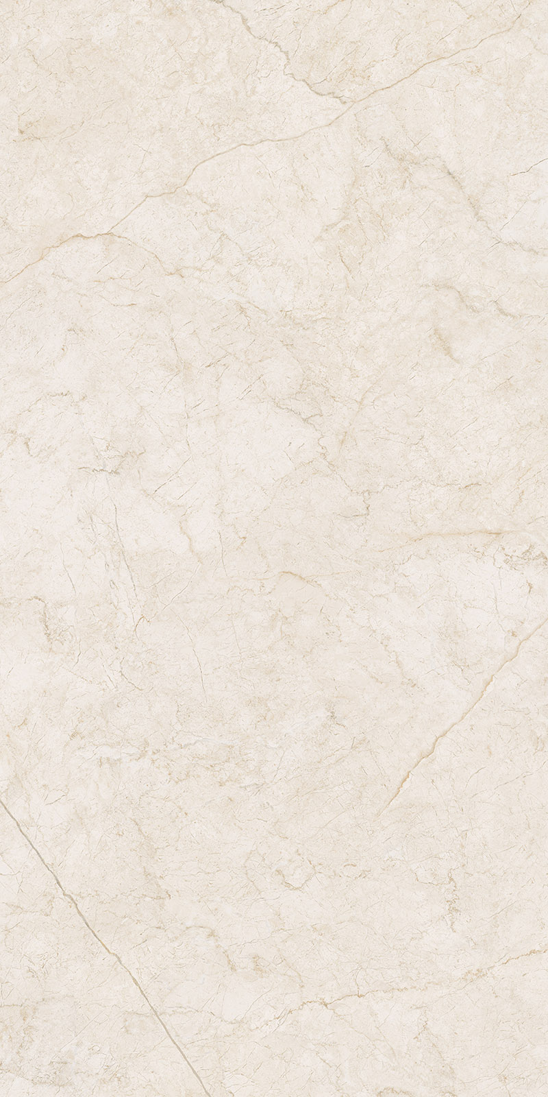 610010001692 На пол Contempora Пур 80x160 Натуральный и Реттифицированный