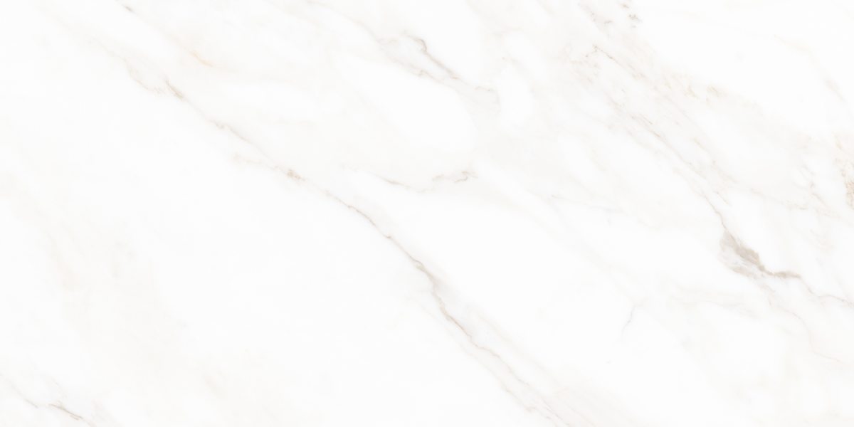 N40059 На пол Classic Marble Calacatta Polished 60x120